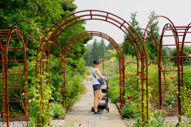 A scenic nature trail winding through lush greenery and trees