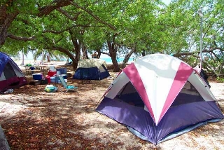 Tents pitched at the primitive campsite under a clear night sky near the towering walls of Fort Jefferson.