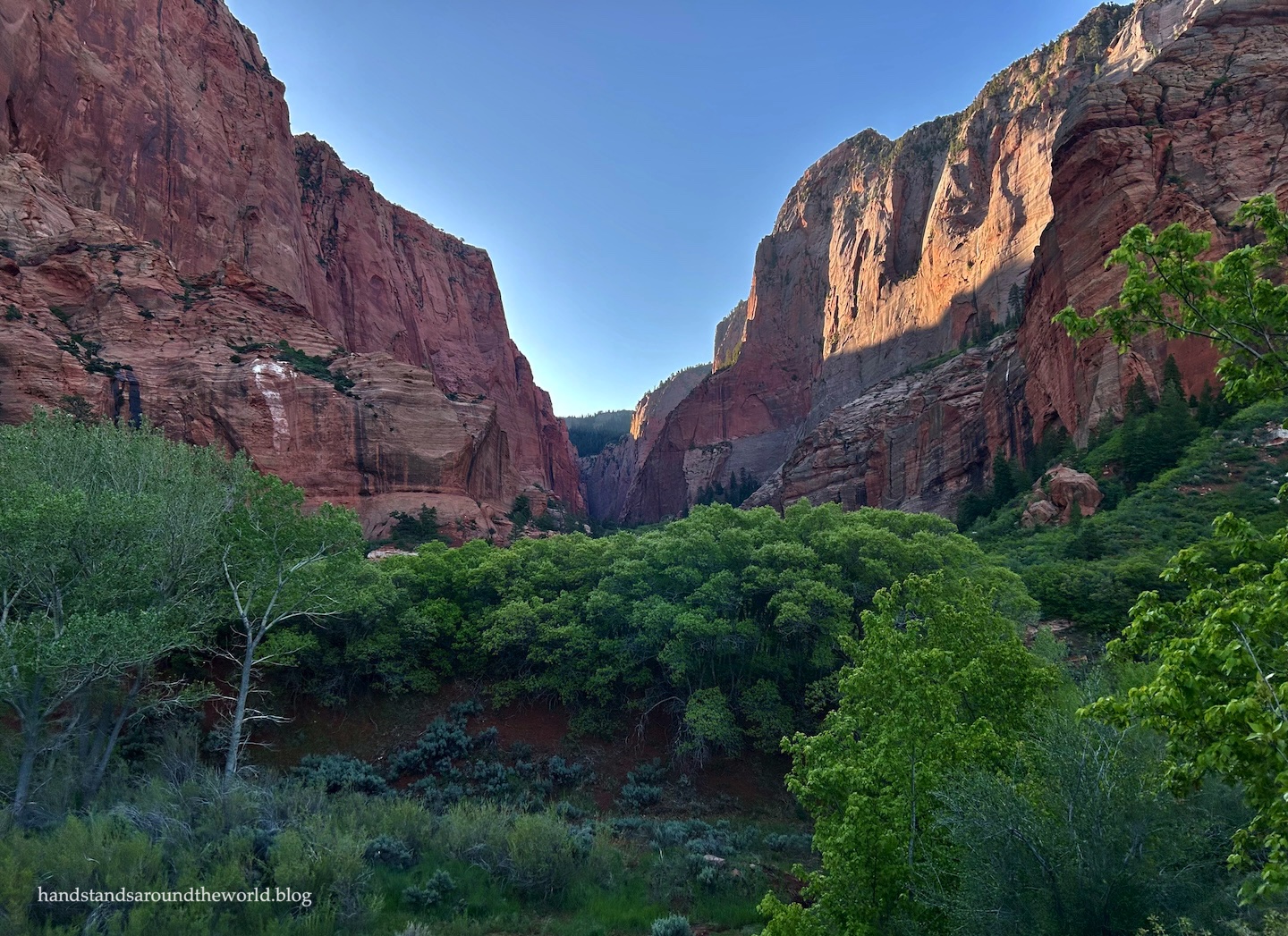 Dramatic red rock peaks and green desert vegetation in the Kolob Canyons section of Zion.