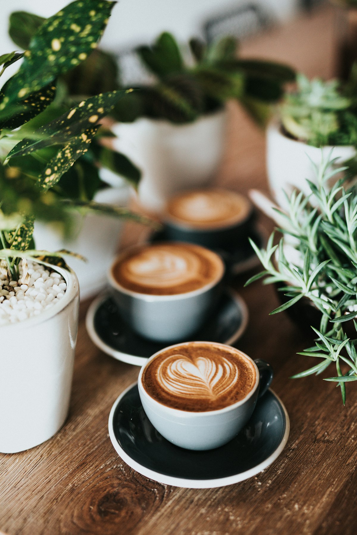 A bag of organic Mexican coffee beans next to a white porcelain cup.