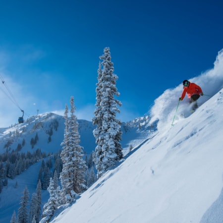 A skier navigating a steep, powdery descent at Snowbird Ski Resort.