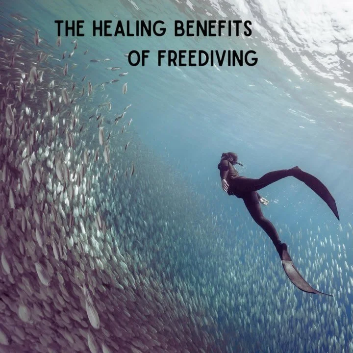 A freediver floating calmly in sun-drenched, clear water.