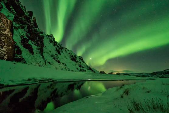 A photographer in a winter jacket standing next to a tripod, looking at a green aurora in the night sky.