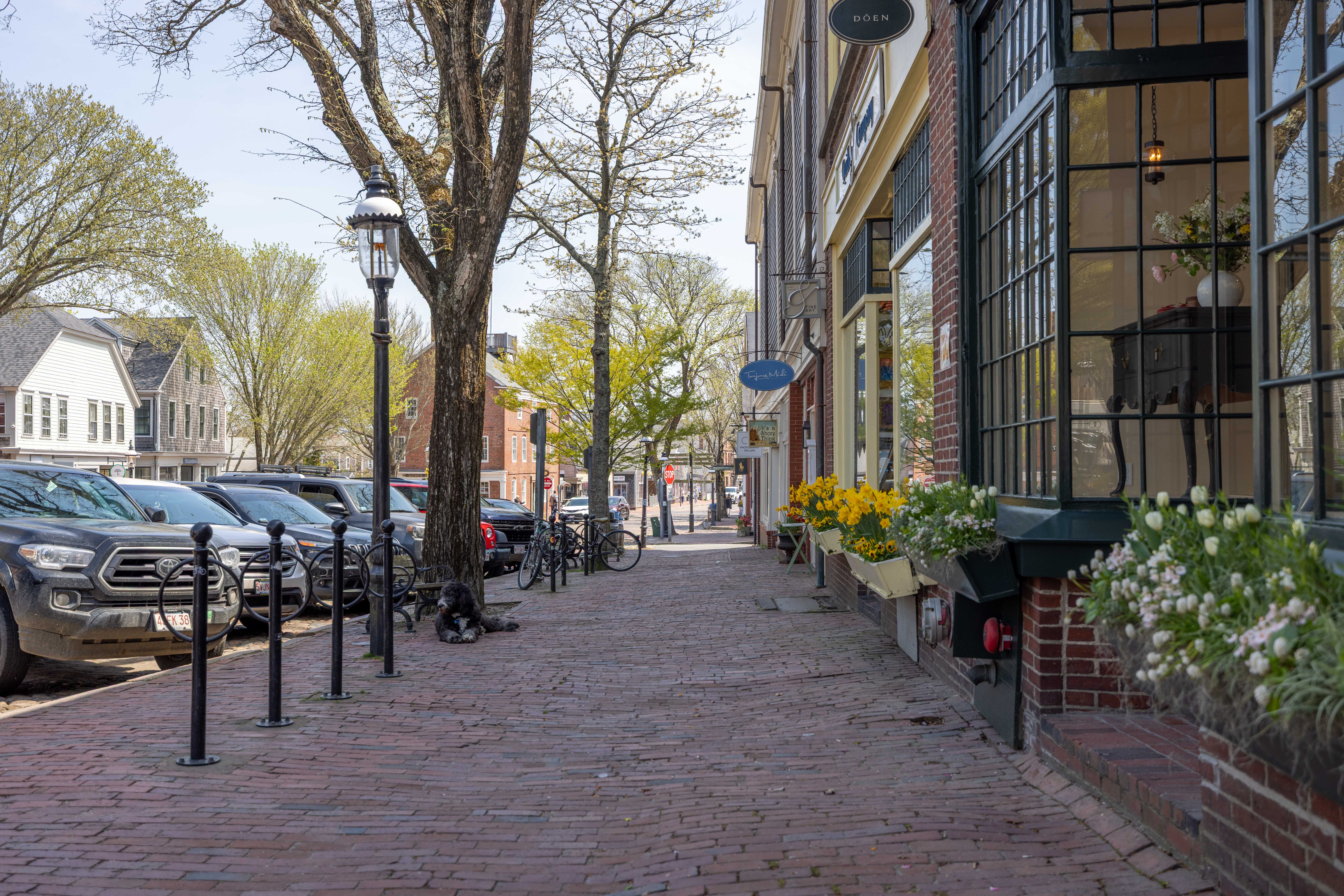 A wide-angle scenic view of Nantucket's rolling green fields and natural island terrain.