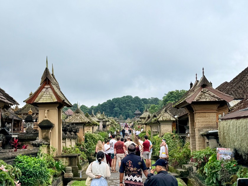 Traditional Balinese bamboo houses with thatched roofs in a clean, organized village setting.